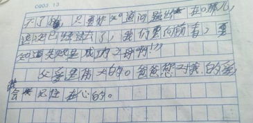 校園里的榕樹350字作文
