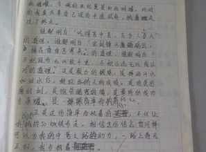 校園真情滿心懷初三作文