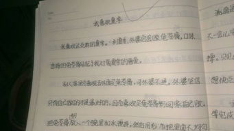 童校園趣事的英語作文