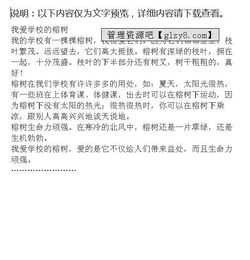 校園的榕樹作文開頭