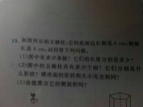 走進新校園作文500感受