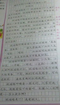 描寫校園美景的一篇作文