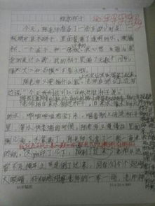 描寫校園的美景的作文300字三級的作文