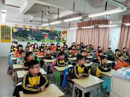 作文,班會(huì),愛(ài)護(hù),校園