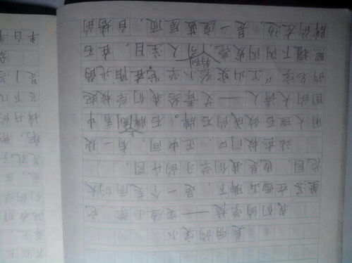 作文美麗的校園用移步換景法