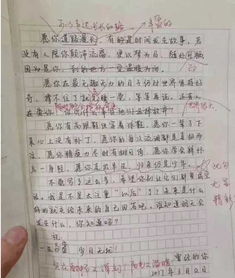 初二學生作文我的校園