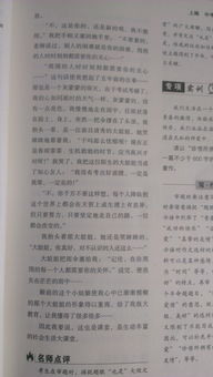 校園風(fēng)景線作文樂(lè)樂(lè)課堂