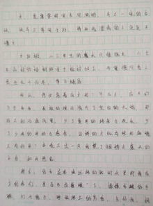 十小人和杯校園球聯賽作文