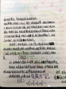 走進校園教育大學作文