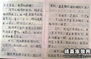 關(guān)于校園觀察日記50字作文