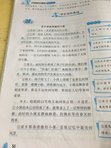 可愛(ài)的校園作文350字四級(jí)下冊(cè)