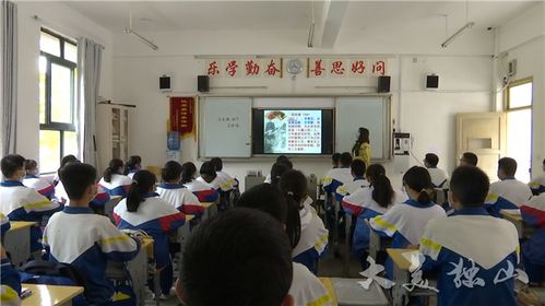 我的復學校園生活作文