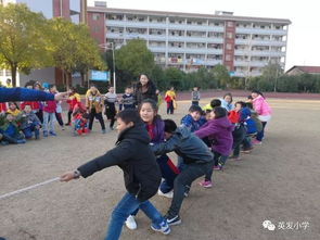 四級作文校園生活歡樂多
