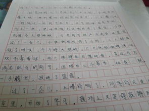 聽我說這就是我想要的安全校園作文600字