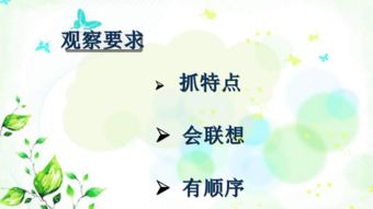 作文,四級(jí),美麗,校園