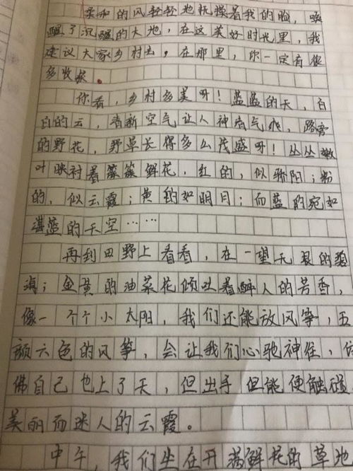 作文,四級,下冊,校園里