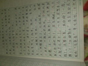 難忘的校園藝術節(jié)作文600字作文,難忘的校園美食節(jié)作文600字,難忘的校園活動作文600字六年級