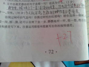 校園里的什么樹作文怎么寫
