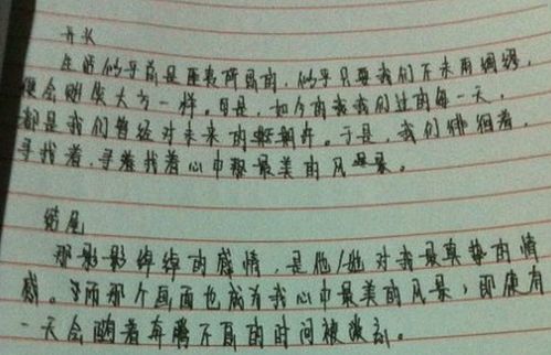 別樣的風(fēng)景作文開頭結(jié)尾,心中的風(fēng)景作文開頭結(jié)尾,窗外的風(fēng)景作文開頭和結(jié)尾