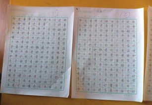 小學(xué)作文校園新聞報(bào)道