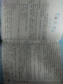 校園印象最深刻地方作文開頭