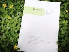 作文,愛護(hù),校園,一草一木