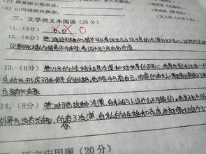 健康跑步校園內(nèi)作文