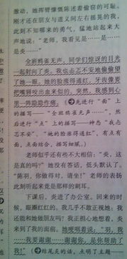 作文關(guān)于校園垃圾調(diào)查報告四百多字