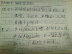 有關愛我校園的作文400字
