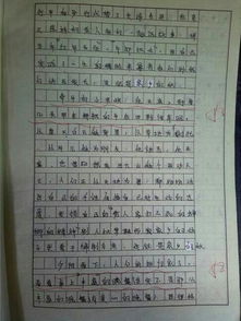 關于校園安全的高中作文