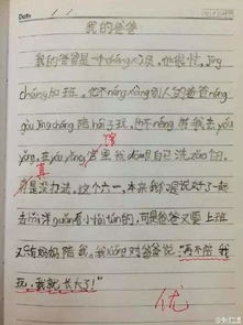 小學生校園里賞花燈作文