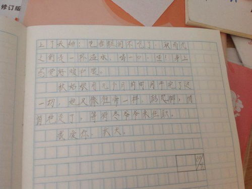 快樂的校園課間作文二級