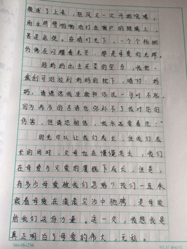 校園我們走過的地方作文怎么寫