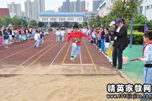 作文,運(yùn)動(dòng)會(huì),校園,新聞