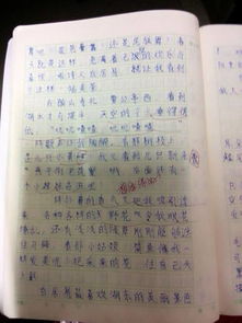 介紹校園200字作文,寧?kù)o的校園作文300字,寧?kù)o的校園作文400字
