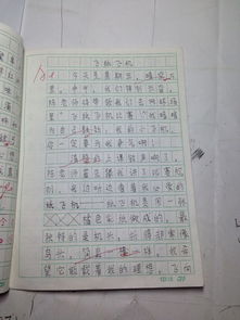 寫校園里難忘的一件事作文400字