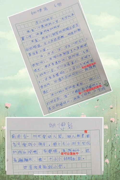 作文,校園,活動,快樂