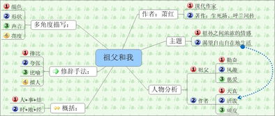 校園的樹思維導(dǎo)圖作文500字