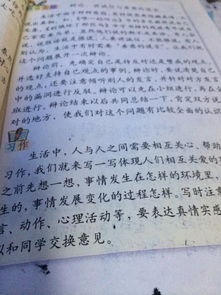 校園的一角柳樹作文400字
