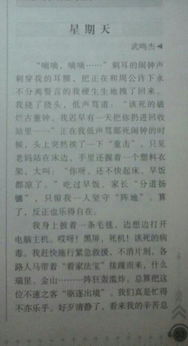 我的校園中山小學作文300字