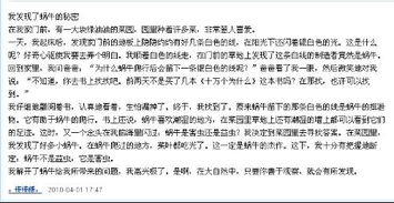 作文,四級(jí),下冊(cè),過(guò)渡
