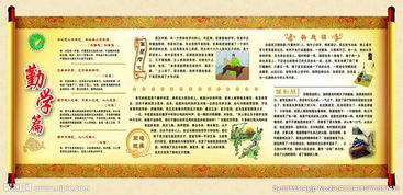 校園文化長(zhǎng)廊作文300字