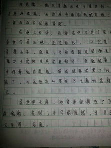 作文,書香,校園