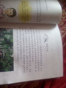 我校園的花草樹木作文