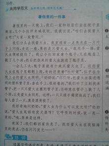 疫情中的校園作文200字