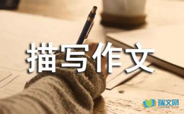 關(guān)于校園的場面描寫作文