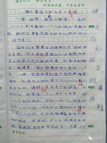 作文校園樂趣