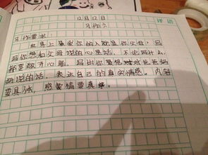 作文,藝術(shù)節(jié),描寫,場(chǎng)面