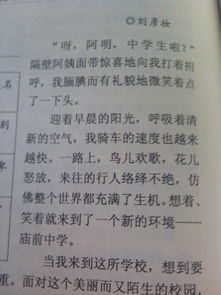美麗的校園生活作文300字三級(jí)要寫什么