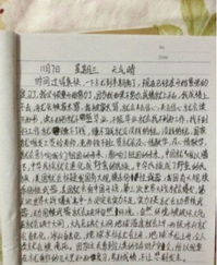 安全故事安全進校園的內(nèi)容寫作文